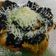 Cooksnap dari Mrsjeykey untuk resep Nugget Pisang Ambon