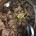 Cooksnap Nurul Kefftya semasa beliau membuat Rendang Daging Minang.