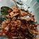 Cooksnap dari Kirana Jupandy untuk resep Udang rebon kering pedes