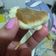 El cooksnap de Ludmila cuando hizo Dulce de leche casero.