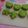 Cooksnap dari siti sundarih untuk resep Puding Lumut