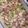 Cooksnap de lesrecettes_de_zaza sur la recette Chou romanesco façon Carbonara