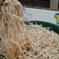 Cooksnap dari baba.kitchen untuk resep Mie Basah Mentah Homemade