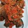Cooksnap dari iis dwi cahyanti untuk resep Dendeng batokok dendeng balado