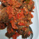 Cooksnap dari iis dwi cahyanti untuk resep Dendeng batokok dendeng balado