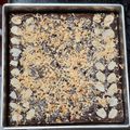 Cooksnap dari Christin Wijaya untuk resep Fudgy Brownies - Gluten Free