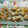El cooksnap de Sara A.Q. cuando hizo Tres clases de canapés.