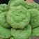 Cooksnap dari Pipi untuk resep Kue Cucur asli Betawi