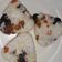 Cooksnap dari Ayin Babyq untuk resep Onigiri telur & sosis sederhana
