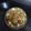 Shweta Dalal's cooksnap of when they made આલુ ટીકી (Alu tikki recipe in Gujarati).