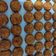 Cooksnap dari Esti Tanio untuk resep Palm Cheese Cookies