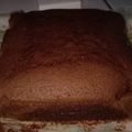 Cooksnap dari Putri Caesar Suprapti untuk resep Kue Coklat Kukus