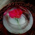 کوک اسنپ darya Lorestan بعد از امتحان کردن یخ تزیینی 🌸.