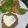 El cooksnap de Fernanda cuando hizo Hamburguesas de lentejas.