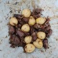 Cooksnap dari Buwulandari untuk resep Sate Puyuh Ala Angkringan Keto Friendly