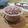 Cooksnap dari Nathasya's Kitchen untuk resep Ice Cream Homemade Rasa Coklat #SeninSemangat