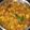 Samita Sar's cooksnap of when they made ওলকপির ডালনা(olkopir dalna recipe in bengali).