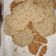 Cooksnap dari Yuli untuk resep Coconut cookies #prRamadan_kukirainikukis