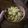 El cooksnap de Agus Paggiola Santos cuando hizo Fideos con salsa de brócoli y pollo libre de gluten.