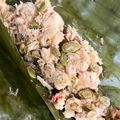 Cooksnap dari Deva Bachtari untuk resep Botok Tempe Lamtoro (Petai Cina)