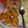 Disha Prashant Chavda's cooksnap of when they made અડદ ની દાળ ના વડા (Urad Dal Vada Recipe In Gujarati).