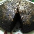 Cooksnap dari Sri Nurhayati untuk resep Bolu Agar Agar magic com