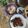 Cooksnap dari Tanaya Pinasthika untuk resep Soto Ayam (Jawa Timur)