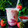 Cooksnap dari Q'leenalee's Kitchen untuk resep Korean Strawberry Milk
