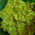 El cooksnap de Sofia Silva Caldera cuando hizo Chilaquiles de pollo puro amor a lo Nica.