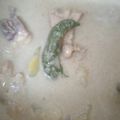 Cooksnap aliafarhana ismail semasa beliau membuat Kurma Ayam.