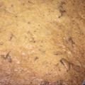 El cooksnap de Luli👩‍🍳💓 cuando hizo Cookies clásicas!.