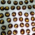 Cooksnap dari chippa kitchen untuk resep Kue kering coklat mede