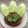 รูป Cooksnap ของ Wanlaya Annie Limpachayaporn เมื่อเขาทำ น้ำพริกถั่วเน่า