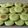 Cooksnap dari Susi Feriana untuk resep Bolu pandan kelapa parut