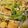 รูป Cooksnap ของ Salome Funtanares เมื่อเขาทำ ผักกาดขาวผัดไข่ โดย:ทำครัวง่ายๆbyจุไรรัตน์