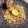 Cooksnap dari Heny Rosita untuk resep Sambal Terasi Tasik