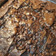 Cooksnap dari Defvy Herawaty untuk resep Triple Chocolate Brownies