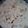 sahil09's cooksnap of when they made Indian Rice Pudding.