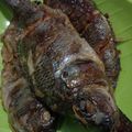 Cooksnap dari Armilla Nurzaman untuk resep Ikan nila bakar 🐟