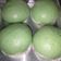 Cooksnap dari dhini untuk resep Bakpao mulus dan empuk