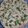 El cooksnap de Alicia cuando hizo Vitel Tone.