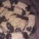 Cooksnap dari Ayu's Kitchen untuk resep Cookies Coklat Keju