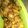 Cooksnap dari Evhy Triznawatie untuk resep Ayam Rica Rica