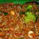 Cooksnap dari Bunda Syasya untuk resep Teri Kacang