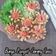 Cooksnap dari Deaskarl untuk resep Bunga Pangsit Goreng Sosis