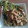 El cooksnap de Cesar Marchan cuando hizo Pasta en salsa verde de espinaca con pollo, bacon y cebolla.