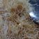 Cooksnap dari rusa miskin untuk resep Mihun Goreng Ebi masakan India ala Tiger Kitchen