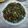 Cooksnap dari Hadleny Kitchen untuk resep Nasi Campur khas Manado : tongkol woku belanga + sayur garo