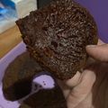 Cooksnap dari Deasy Achie untuk resep Bolu sarang semut (anti gagal)