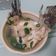 Emma 的 當歸𩼣魚湯（石斑魚） cooksnap